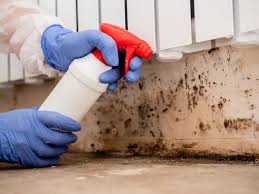 Best Emergency Mold Remediation in USA